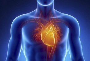 天氣忽冷忽熱易誘發(fā)心臟