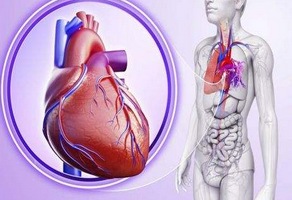 動(dòng)脈硬化的危險(xiǎn)因素有哪