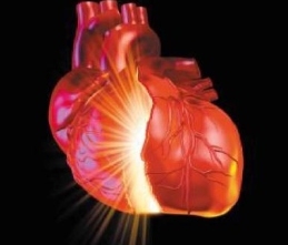 心肌炎的發(fā)病原因有哪些