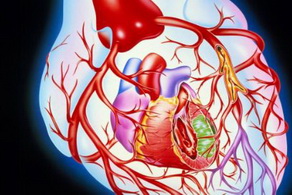 關于心臟病的檢查有哪些